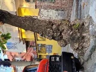 Imagem do imóvel CA70437
