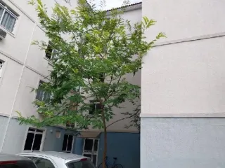 Imagem do imóvel AP12068
