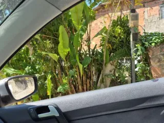 Imagem do imóvel CA52950