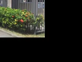 Imagem do imóvel AP90316