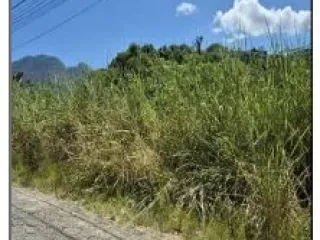 Imagem do imóvel TE58841