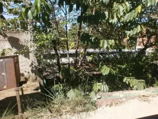 Imagem do imóvel CA86882