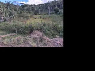 Imagem do imóvel TE29682