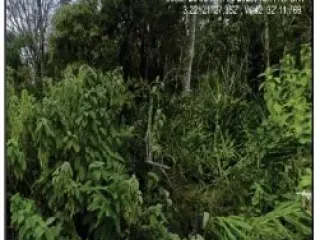 Imagem do imóvel TE77004