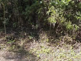 Imagem do imóvel TE90951