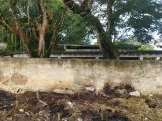 Imagem do imóvel CA71746