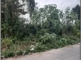 Imagem do imóvel TE04401