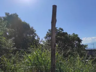 Imagem do imóvel TE39694