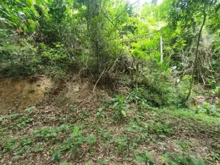 Imagem do imóvel TE68734