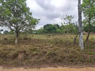 Imagem do imóvel TE59843