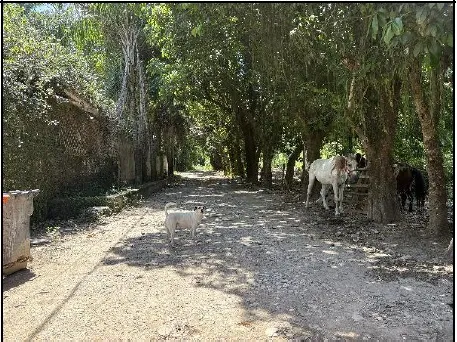 Imagem do imóvel TE54824