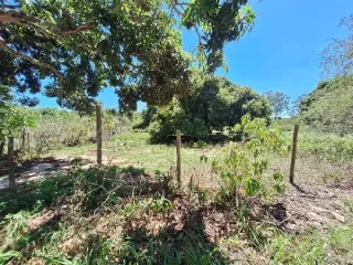 Imagem do imóvel TE65613