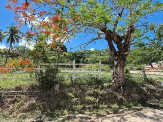 Imagem do imóvel CA51610